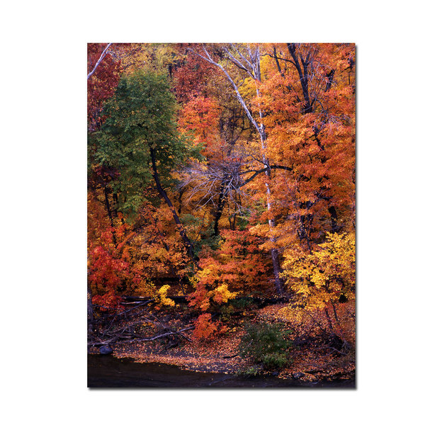 Trademark Fine Art I love Autumn by Kurt Shaffer-Gallery Wrapped 18x24, 18x24 KS314-C1824GG
